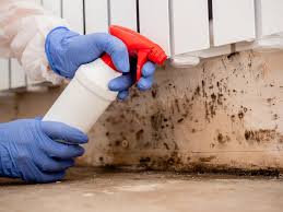 Environmental Consulting for Mold Prevention in Huber Ridge, OH